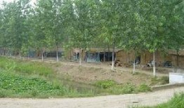 沭阳耿圩吃瓜事件,一场引发热议的乡村奇闻