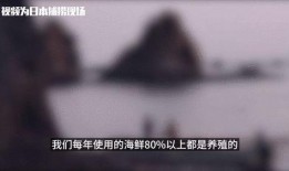 吃瓜背后的现实,揭秘网络舆论的真相与影响