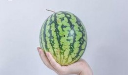 吃瓜 最新入口,一网打尽热门资讯，畅享娱乐盛宴