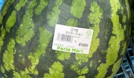 在线吃瓜南韩,在线吃瓜，一网打尽韩流热点