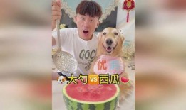 吃瓜吃急眼,揭秘网络热议背后的心理现象