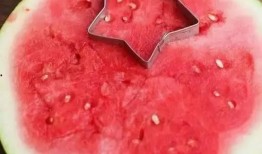 南红瓜吃有处吗,探寻神秘果实的神秘之处