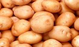 土豆bug直播吃瓜,揭秘娱乐圈幕后真相