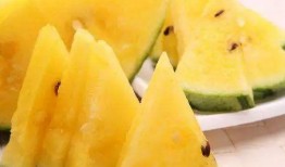 可莉吃瓜图,萌娃视角下的趣味瞬间