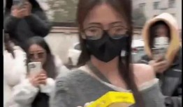 国外吃瓜爆料视频大全,揭秘国外热门视频背后的真相