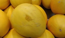 黄吃瓜,揭秘娱乐圈的“瓜田”故事