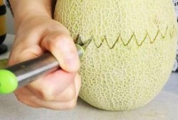 吃完哈密瓜可以吃鲍鱼吗,美味搭配的饮食探索