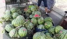 腾冲边境吃瓜事件,一场引发热议的网络风波