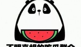 不语吃瓜,揭秘娱乐圈幕后故事