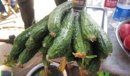 泰山电建吃瓜,揭秘电力建设领域的“吃瓜”风云