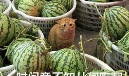 吃瓜被爆,揭秘网络红人的崛起之路