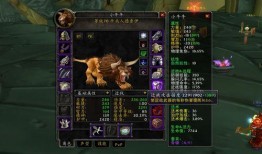 魔兽吃瓜猫服,吃瓜猫服，揭秘神秘副本背后的故事