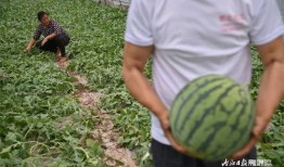 南交4p吃瓜群,揭秘娱乐圈幕后风云