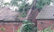 沭阳耿圩吃瓜事件,一场引发热议的乡村奇闻