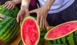 广州吃瓜大学,大学生们的潮流生活剪影