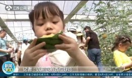 夏天吃瓜美滋滋,瓜果飘香——尽享吃瓜美滋滋时光