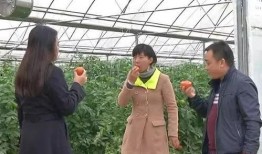 围观吃瓜群众来源,他们从何而来？