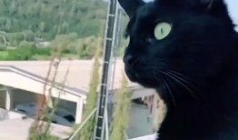 隔壁吵架吃瓜,吃瓜群众围观现场