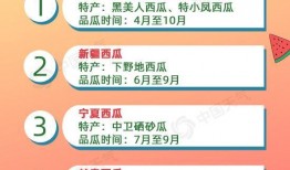 遵守吃瓜者公约,践行吃瓜者公约，共建和谐网络环境