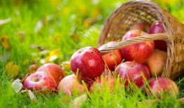 吃瓜苹果壳,一场科技与生活的奇妙邂逅