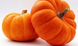 大迪大号吃瓜,揭秘娱乐圈幕后故事