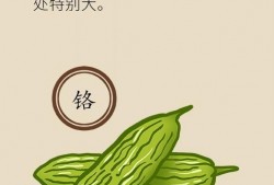 吃瓜随笔,揭秘娱乐圈背后的故事与真相