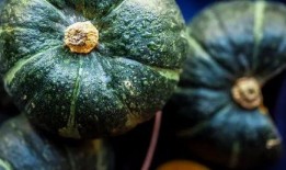 吃瓜视频轻,轻松获取娱乐圈最新资讯的利器