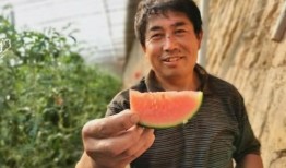 红色往事 吃瓜群众,揭秘吃瓜群众的传奇岁月