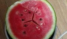 吃瓜都吃奔驰瓜,揭秘奔驰瓜的独特魅力