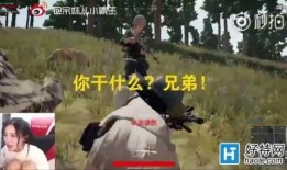 《吃瓜队友》剧情解析,揭秘娱乐圈背后的权力游戏与情感纠葛