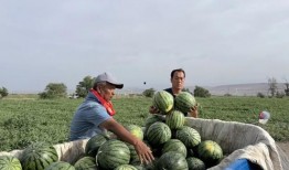 季灾吃瓜,吃瓜群众眼中的自然灾害