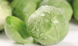 胃粘膜脱垂可以吃哈密瓜,哈密瓜助力胃粘膜脱垂患者恢复健康