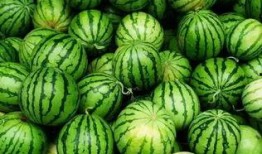 在吃瓜群,网络社交新现象背后的故事