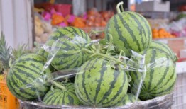 吃瓜穷人乐,揭秘平民百姓的娱乐生活