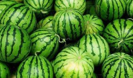 高烧可以吃瓜吗,吃瓜真的可行吗？揭秘发烧期间的饮食禁忌