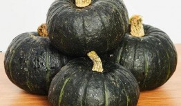 瓜贝贝南瓜怎么吃