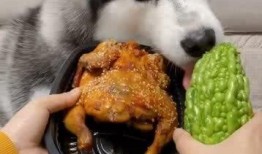 吃瓜吃急眼,揭秘网络热议背后的心理现象