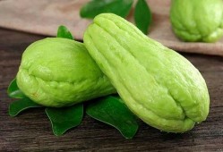 吃茭瓜嘴发麻,揭秘吃茭瓜嘴发麻的神奇现象