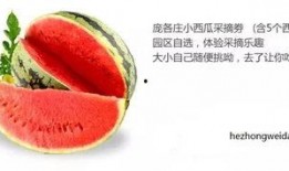 吃瓜小禾,揭秘娱乐圈那些不为人知的幕后故事