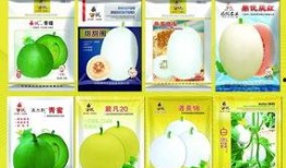 吃瓜老王杯,揭秘娱乐圈的瓜田秘闻