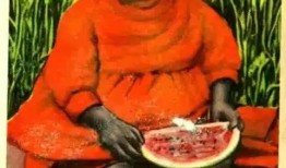 吃瓜大妈黑人,吃瓜大妈视角下的黑人文化现象解析