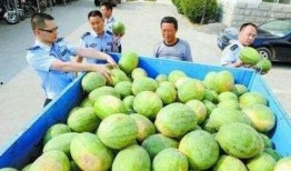 海伦堡吃瓜群,揭秘社区生活趣味瞬间