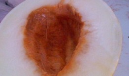 吃伊丽莎白瓜反胃,揭秘夏日美食背后的健康隐患