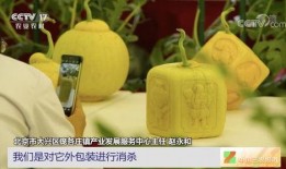 云时吃瓜,揭秘网络时代的娱乐现象