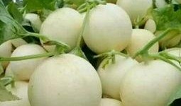 白梨瓜怎么吃,解锁夏日清新美味