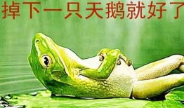 青蛙吃瓜同款,揭秘夏日消暑美食新潮流