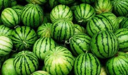 在线吃瓜南韩,在线吃瓜，一网打尽韩流热点