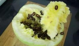籽瓜能否加热吃,美味与营养的双重体验
