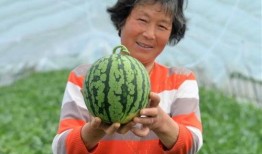 吃瓜小优,揭秘娱乐圈那些不为人知的幕后故事