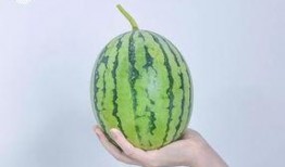 请吃瓜图片大全,盘点那些搞笑、温馨、感人的请吃瓜瞬间